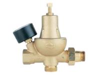 WATTS Filters Valves Thermometers